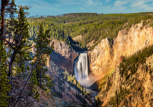 Lower Falls of the Yellowstone from Artist Point