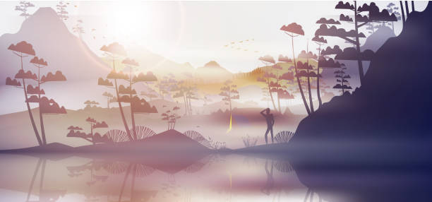 wald in den bergen im morgengrauen - forrest lake lichtstimmung nebel stock-grafiken, -clipart, -cartoons und -symbole