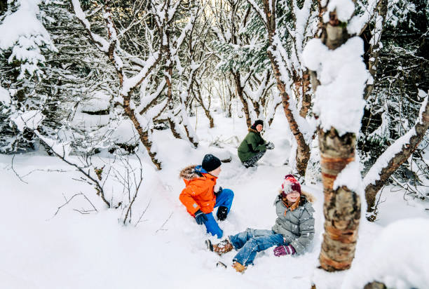 istock Siblings enjoying winter on snowy day in a beautiful forest 1210205757