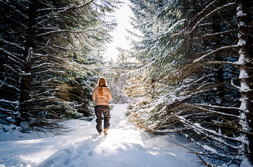 Beautiful sunlight on a snowy day in a forest. Woman enjoying life in nature