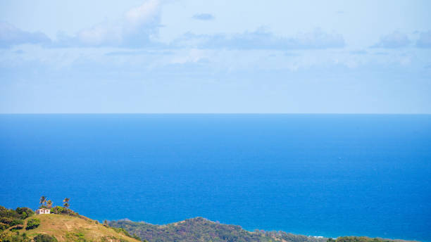 istock Caribbean landscape with a lonely hut - Barbados 1210206421
