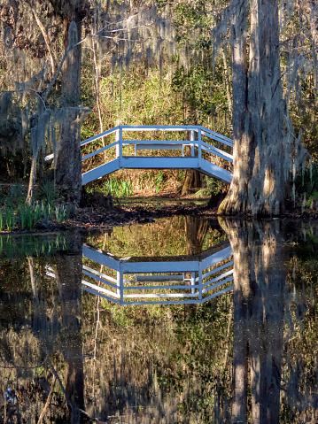 white wooden bridge with reflection in quiet lake water in southern forest