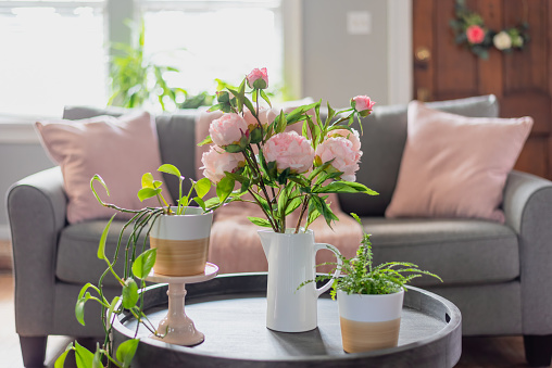 Spring home decor for the living room in pink and gray