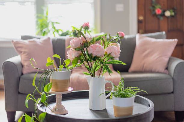 Brightening up the living room with plants and flowers for Spring stock photo