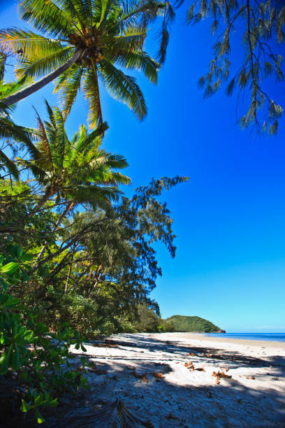 istock Deserted island, with copy space, travel magazine 1210216486
