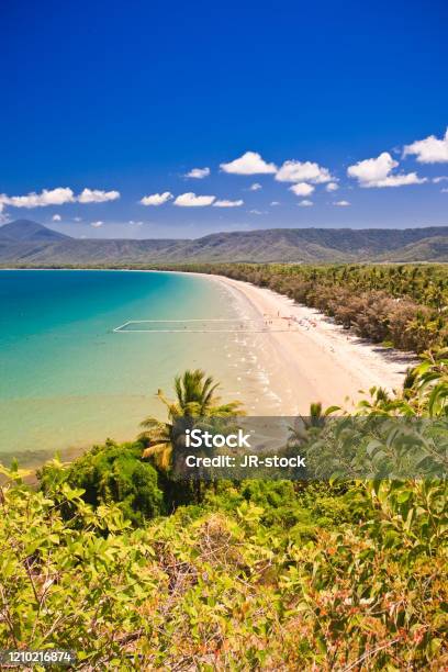 Aerial View Portrait Of A Beach Stock Photo - Download Image Now - Port Douglas, Cairns - Australia, Australia