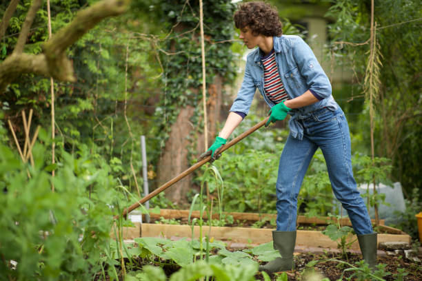 istock woman raking garden 1210217378