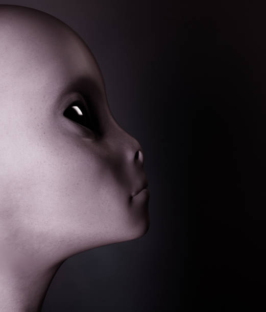 Alien,Woman from the outside world,3d rendering