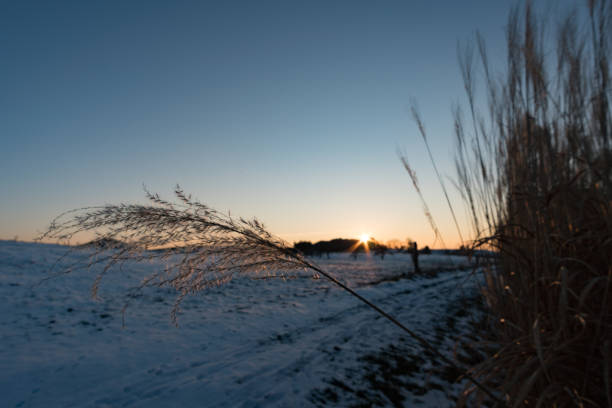 istock Beautiful winter wonderland forest 1210225566