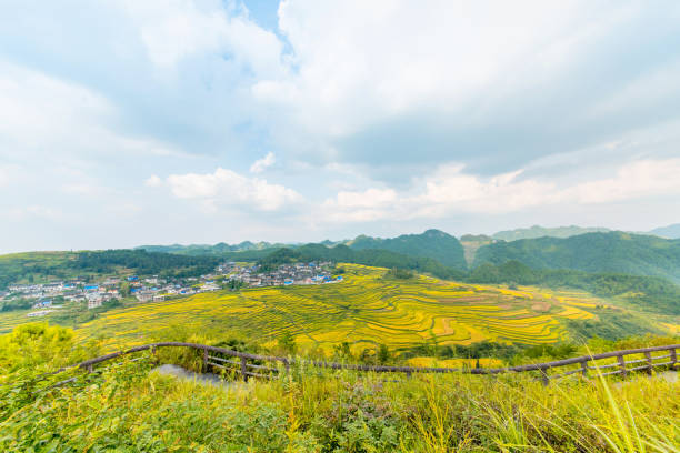 Gaoyao terrace in southeast of Guizhou Province，China