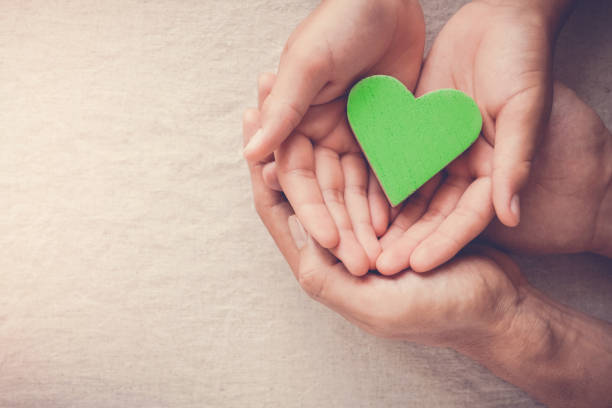 Adult and child hands holding green heart, Vegan vegetarian, sustainable living, healthy wellness, CSR social responsibility concept, world environment da, world health day Adult and child hands holding green heart, Vegan vegetarian, sustainable living, healthy wellness, CSR social responsibility concept, world environment day, world health day responsible business photos stock pictures, royalty-free photos & images