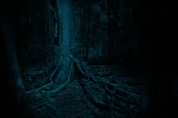 istock Dark moody surreal forest scene 1210228968