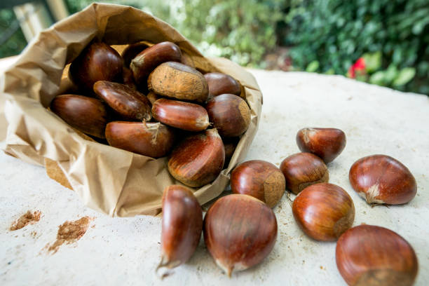 istock Chestnuts in brown paper bag on textured foreground 1210229543