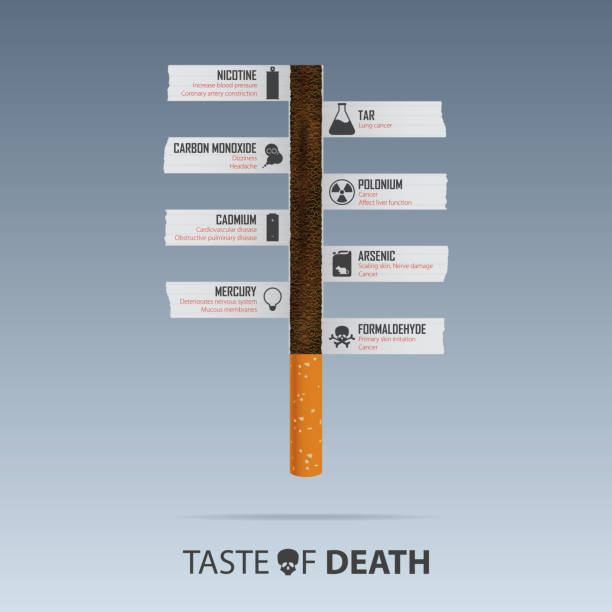 May 31st World No Tobacco Day Poster. Cigarette Compound concept for tobacco poisoning infographic. No Smoking Day Poster. Stop Smoking awareness campaign. Vector May 31st World No Tobacco Day Poster. Cigarette Compound concept for tobacco poisoning infographic. No Smoking Day Poster. Stop Smoking awareness campaign. Vector Illustration. anti tobacco day stock illustrations