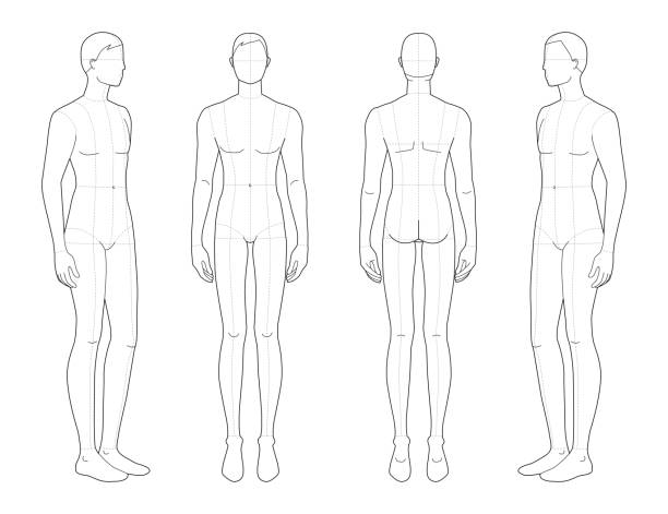 ilustrações de stock, clip art, desenhos animados e ícones de fashion template of standing men - torso