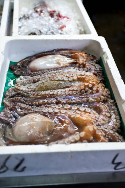 istock Octopus in the fish market 1210235393