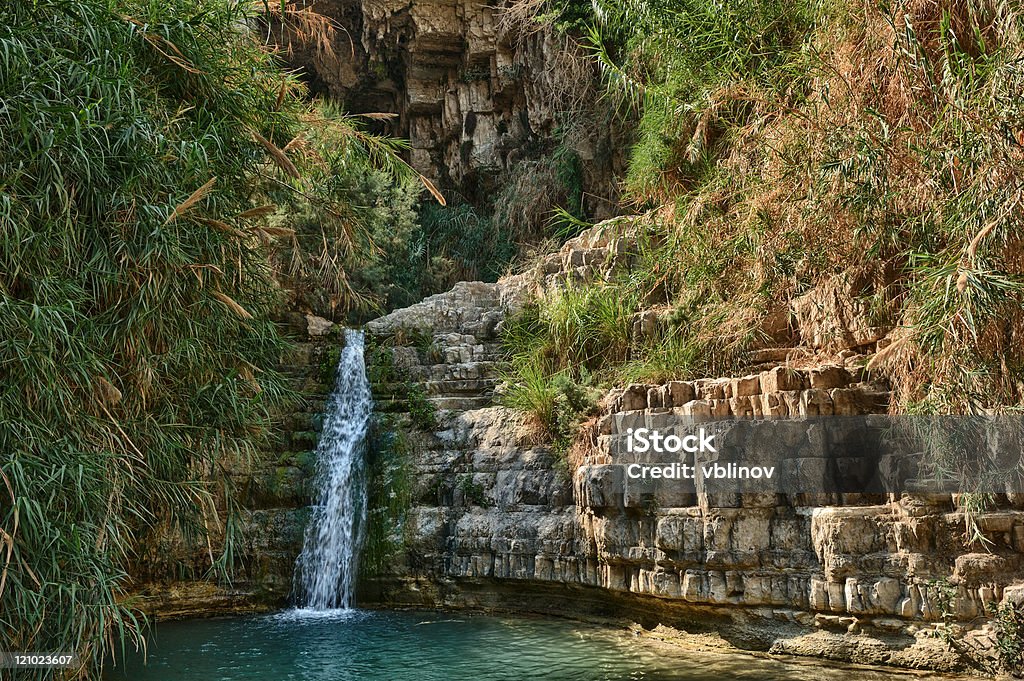 A Gedi Nature Reserve  Ein Gedi Stock Photo