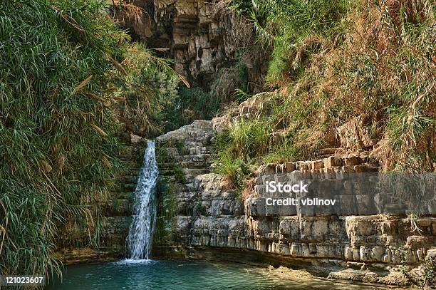 A Gedi Nature Reserve Stock Photo - Download Image Now - Ein Gedi, Nature Reserve, Desert Oasis