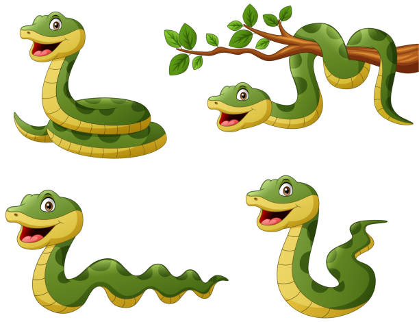 satz von lustigen grünen schlange cartoon - anakonda stock-grafiken, -clipart, -cartoons und -symbole