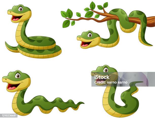 Set Of Funny Green Snake Cartoon Stock Illustration - Download Image Now -  Snake, Cartoon, Anaconda - Snake - iStock