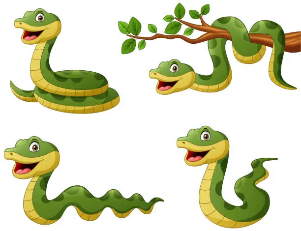 Vector illustration of Set of funny green snake cartoon