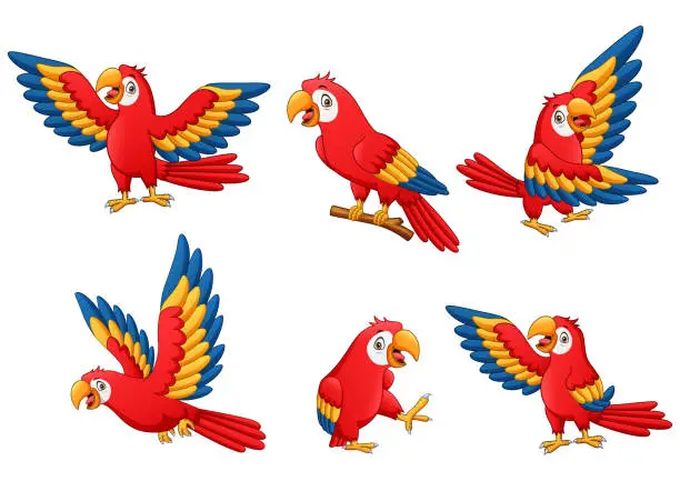 Vector illustration of Set of funny parrot cartoon