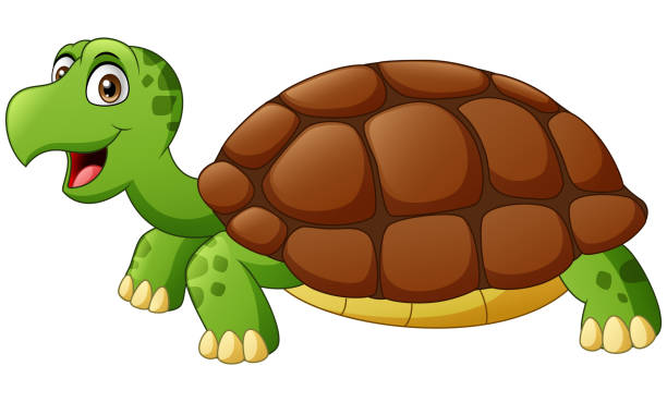urocza kreskówka żółwia - cute animal reptile amphibian stock illustrations