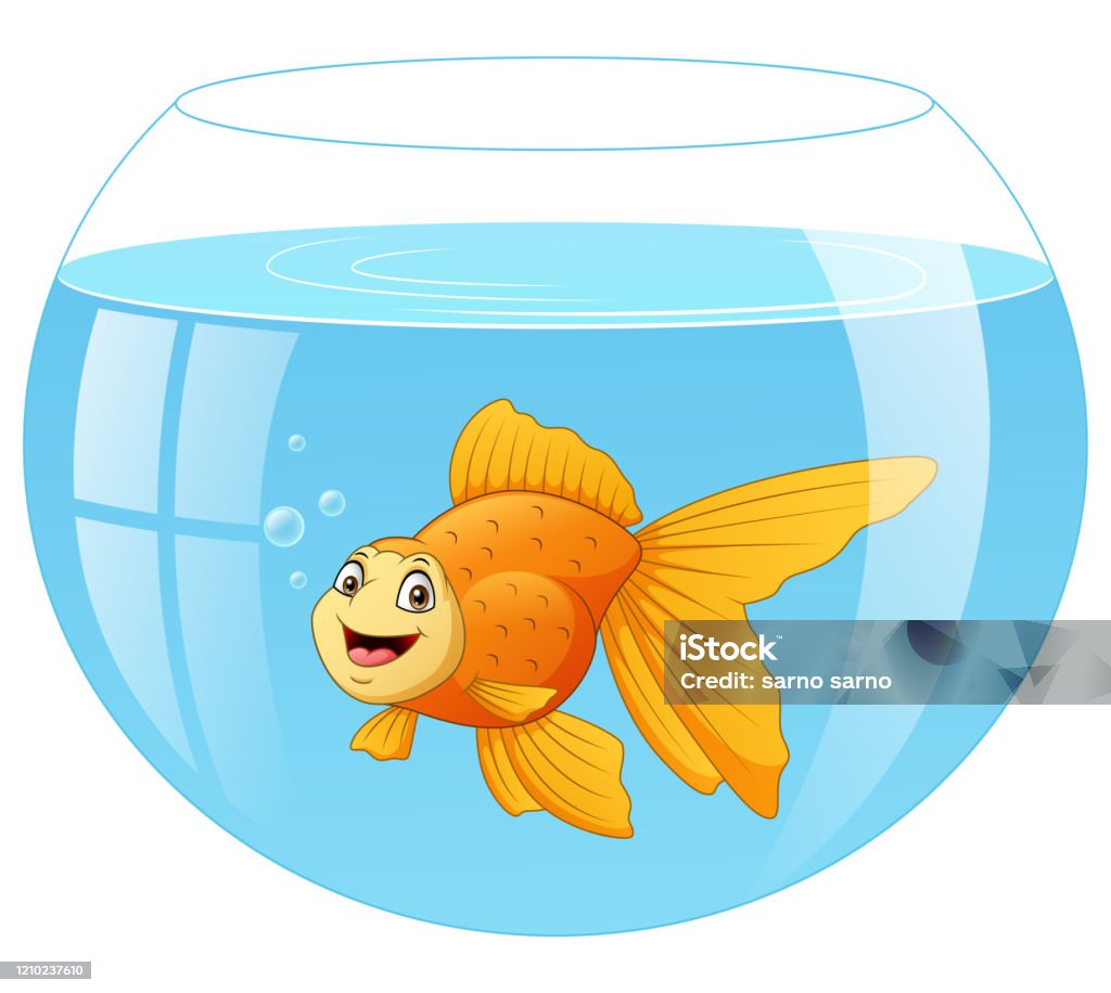 Phim Hoạt Hình Cá Vàng Dễ Thương Trong Bể Cá Hình minh họa Sẵn có ...