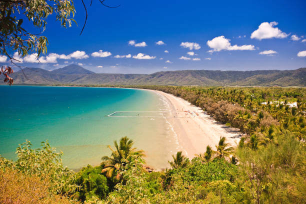 Aerial view of a beach