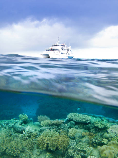 istock A partially submerged photograph 1210240420