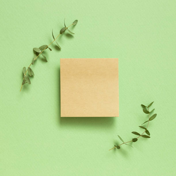 istock Kraft memo pad, empty paper with eucalyptus leaves on pastel green background. top view, copy space 1210241292