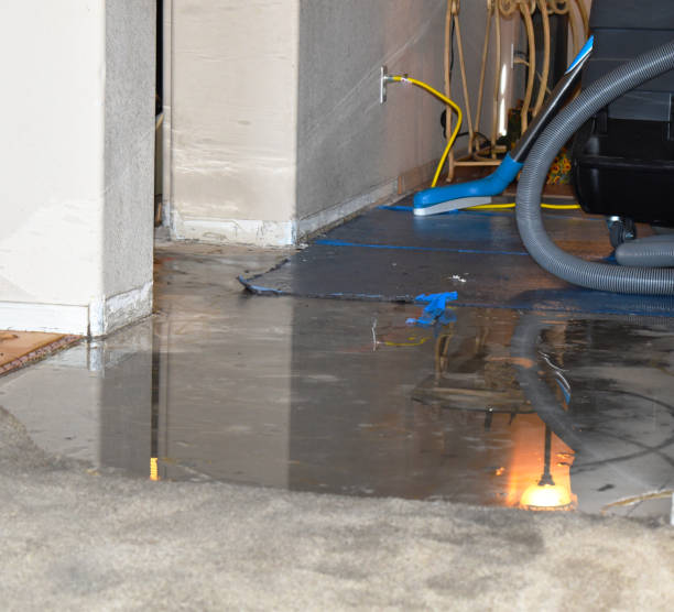 istock Water Removal from a Flooded Room in Home 1210244870