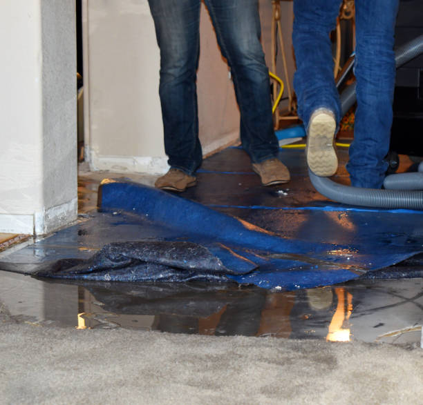 istock Water Removal from Room in Home 1210244875