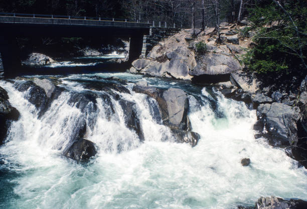 istock Great Smoky Mountains NP The Sinks Close-up - 1980 1210246436