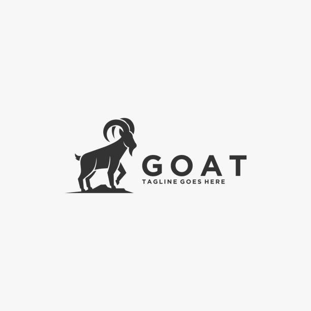 ilustrações de stock, clip art, desenhos animados e ícones de vector illustration goat silhouette style. - wildlife sheep animal body part animal head