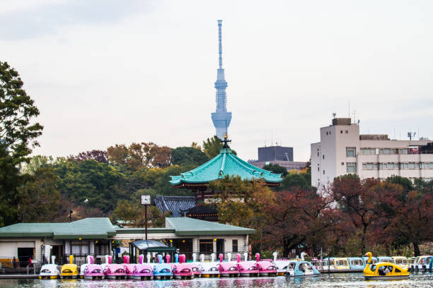 Ueno park in autumn stock photo