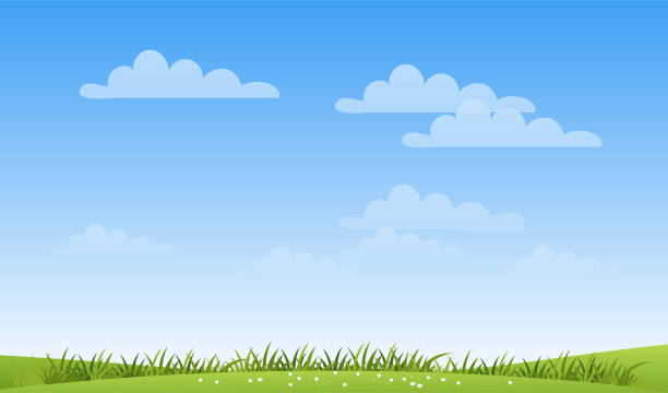 Green Grass Blue Sky Illustrations, Royalty-Free Vector Graphics & Clip Art  - iStock