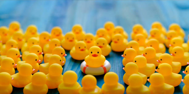 istock One yellow rubber duck on a safety inflatable life ring facing the camera as many other yellow rubber ducks gather around and look at the duck on the life ring, set on a turquoise wooden table background. 1210255470