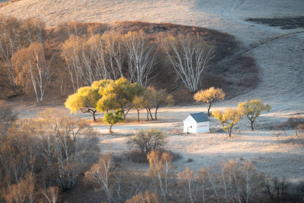 Grassland autumn landscape