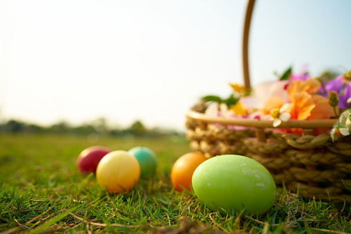 Easter eggs in the lawn with flowers