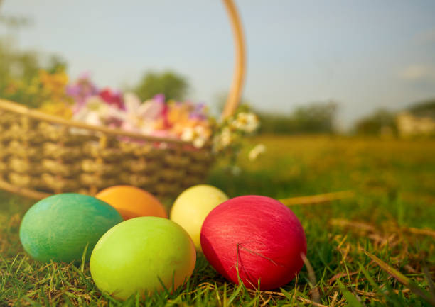istock Easter eggs in the lawn with flowers 1210256604