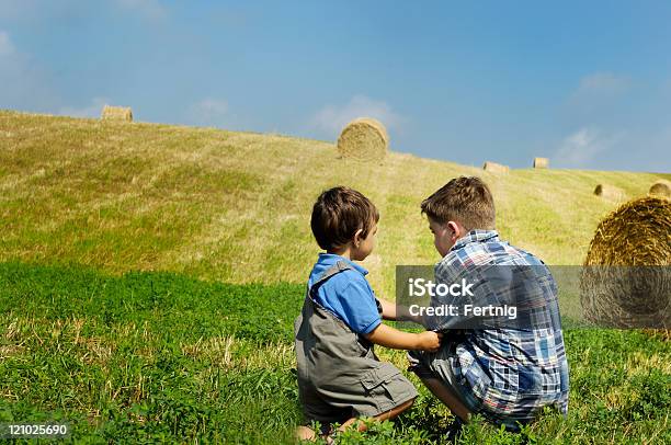 Dos Niños En Una Granja Foto de stock y más banco de imágenes de Agricultura - Agricultura, Aire libre, Ajardinado