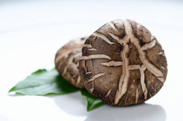 istock Shiitake mushrooms on the wooden background. 1210257285