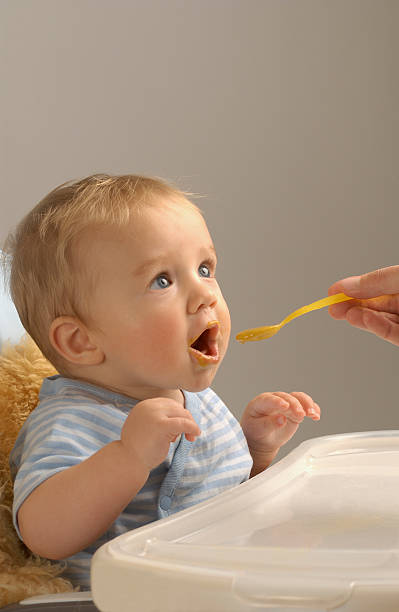 baby eating stock photo