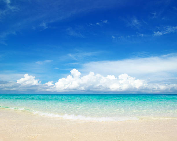 istock beach and tropical sea 1210261685