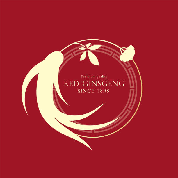 ilustraciones, imágenes clip art, dibujos animados e iconos de stock de ilustración de raíz de ginseng chino o coreano rojo. - ginseng isolated root herbal medicine