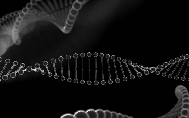 istock DNA Concept of genetics, science and medicine. 1210262993