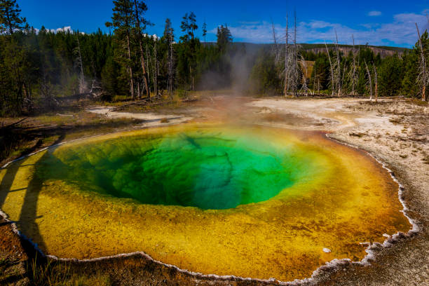 istock Morning Glory Pool in Yellowstone 1210264577