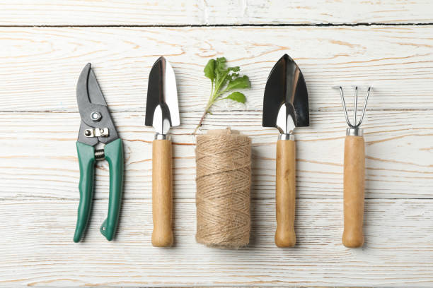 istock Gardening tools and sprout on wooden background, top view 1210265771