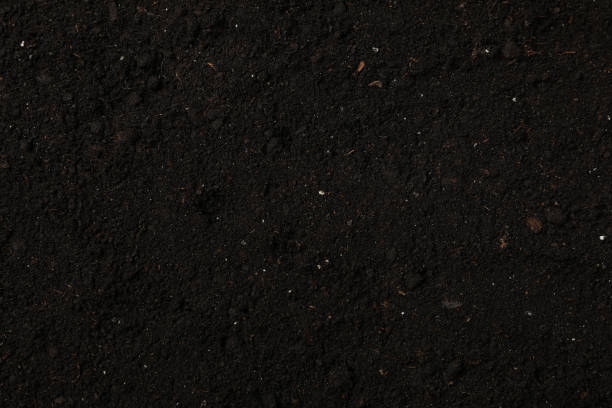 istock Fertile soil texture background. Agriculture and gardening 1210265804